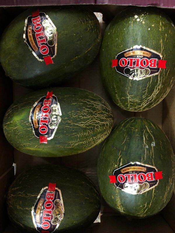Melones bollo - producto