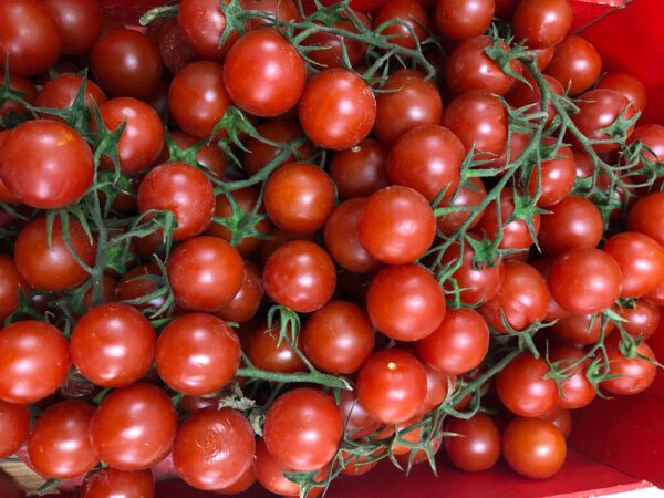 tomate cherry online