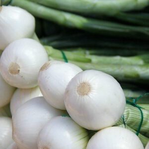 Cebolla tierna - producto - verduleria online