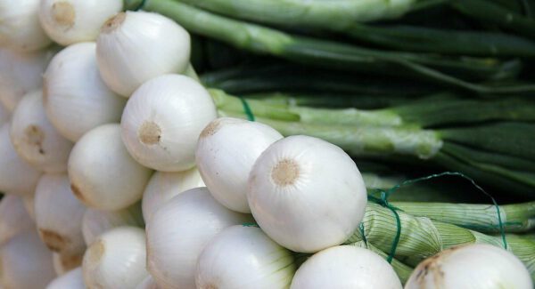 Cebolla tierna - producto - verduleria online