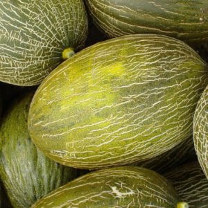 Melon piel de sapo - producto - verduleria online