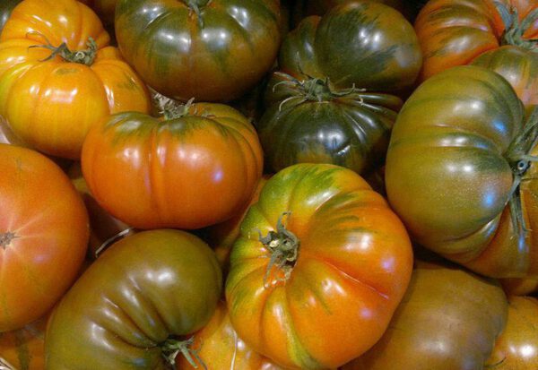 Tomate raff - producto - verduleria online