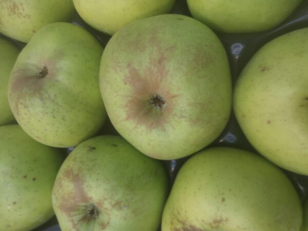 manzana reineta - producto - verduleria online