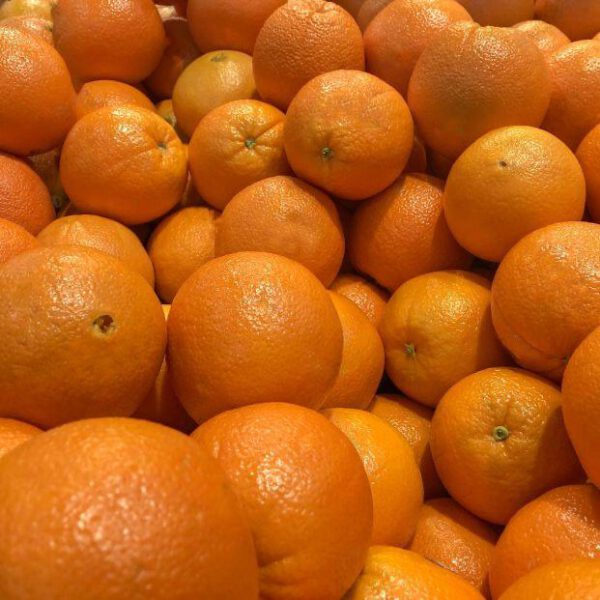 naranja - producto